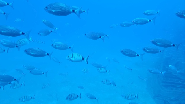 ../images/fotoalbum/lanzarote23/2023-09-14 13.37.43